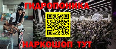 крисы Ангарск