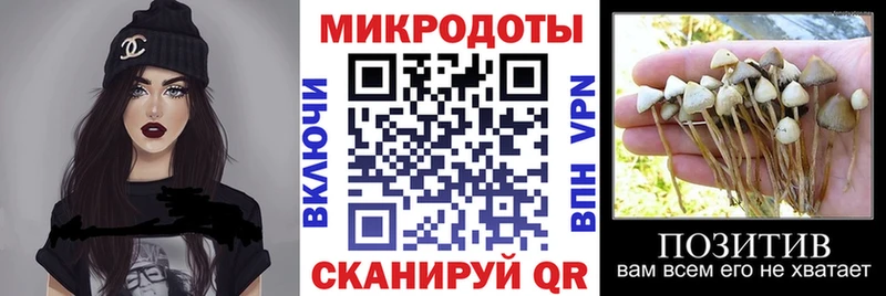 Псилоцибиновые грибы Magic Shrooms Киржач